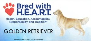 de02c7_c00e5af2c77c4a4a84fe92bce8699964~mv2